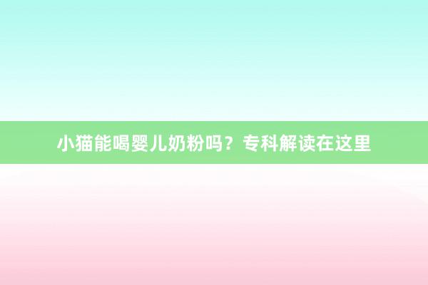 小猫能喝婴儿奶粉吗？专科解读在这里