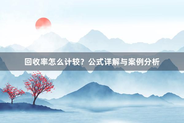 回收率怎么计较？公式详解与案例分析