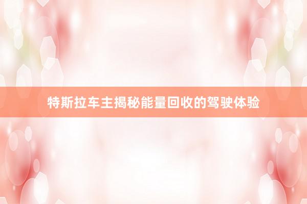 特斯拉车主揭秘能量回收的驾驶体验