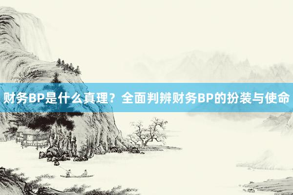 财务BP是什么真理？全面判辨财务BP的扮装与使命