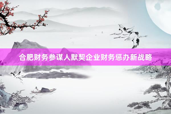 合肥财务参谋人默契企业财务惩办新战略